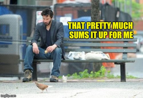 Sad Keanu Meme | THAT PRETTY MUCH SUMS IT UP FOR ME | image tagged in memes,sad keanu | made w/ Imgflip meme maker