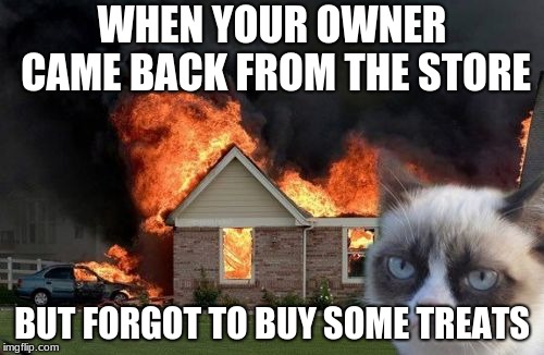 Burn Kitty | WHEN YOUR OWNER CAME BACK FROM THE STORE; BUT FORGOT TO BUY SOME TREATS | image tagged in memes,burn kitty,grumpy cat | made w/ Imgflip meme maker