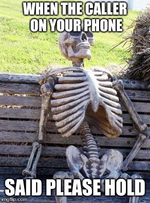 Waiting Skeleton | WHEN THE CALLER ON YOUR PHONE; SAID PLEASE HOLD | image tagged in memes,waiting skeleton | made w/ Imgflip meme maker