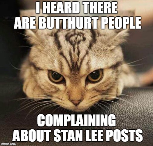 If people complain about mourning a man, at least for one day, I guess they don't get how life really works. | I HEARD THERE ARE BUTTHURT PEOPLE; COMPLAINING ABOUT STAN LEE POSTS | image tagged in grrrrr | made w/ Imgflip meme maker