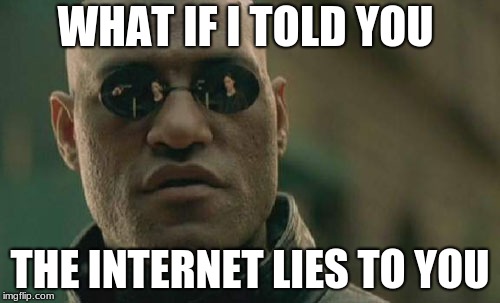 Matrix Morpheus Meme | WHAT IF I TOLD YOU; THE INTERNET LIES TO YOU | image tagged in memes,matrix morpheus | made w/ Imgflip meme maker