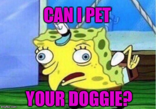 Mocking Spongebob Meme | CAN I PET YOUR DOGGIE? | image tagged in memes,mocking spongebob | made w/ Imgflip meme maker