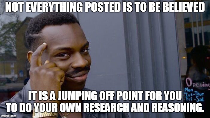 Roll Safe Think About It Meme | NOT EVERYTHING POSTED IS TO BE BELIEVED; IT IS A JUMPING OFF POINT FOR YOU TO DO YOUR OWN RESEARCH AND REASONING. | image tagged in memes,roll safe think about it | made w/ Imgflip meme maker