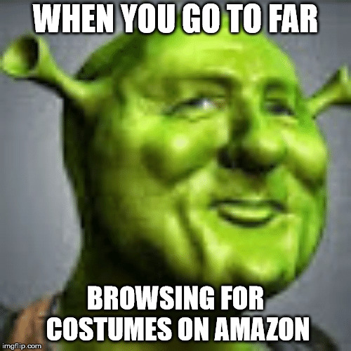 WHEN YOU GO TO FAR; BROWSING FOR COSTUMES ON AMAZON | image tagged in shrek sexy face,shrek,costume | made w/ Imgflip meme maker