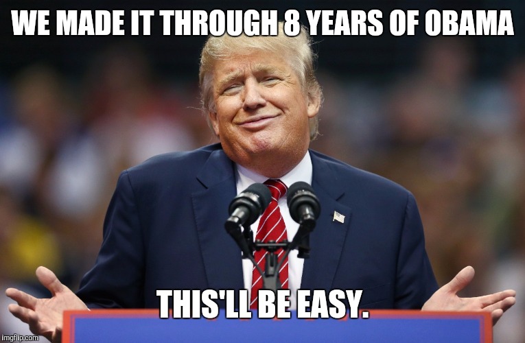 Donald Meh | WE MADE IT THROUGH 8 YEARS OF OBAMA THIS'LL BE EASY. | image tagged in donald meh | made w/ Imgflip meme maker