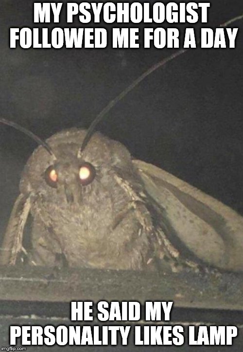 Moth | MY PSYCHOLOGIST FOLLOWED ME FOR A DAY; HE SAID MY PERSONALITY LIKES LAMP | image tagged in moth | made w/ Imgflip meme maker