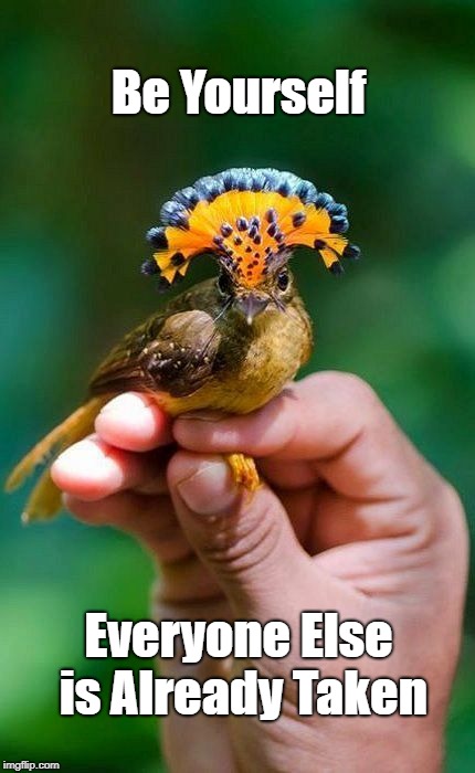 Be Yourself | Be Yourself; Everyone Else is Already Taken | image tagged in amazonian royal flycatcher | made w/ Imgflip meme maker