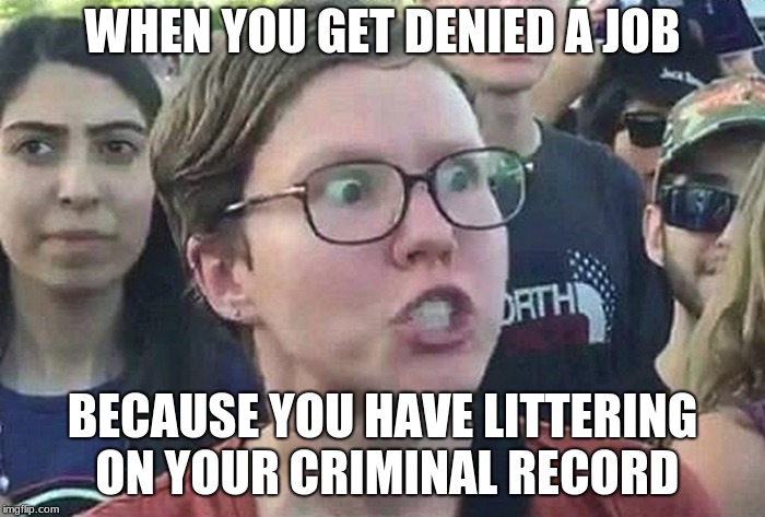 Triggered Liberal | WHEN YOU GET DENIED A JOB; BECAUSE YOU HAVE LITTERING ON YOUR CRIMINAL RECORD | image tagged in triggered liberal | made w/ Imgflip meme maker