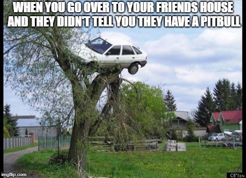 Secure Parking Meme | WHEN YOU GO OVER TO YOUR FRIENDS HOUSE AND THEY DIDN'T TELL YOU THEY HAVE A PITBULL | image tagged in memes,secure parking | made w/ Imgflip meme maker
