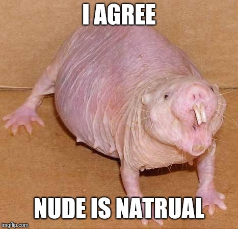 naked mole rat | I AGREE NUDE IS NATRUAL | image tagged in naked mole rat | made w/ Imgflip meme maker