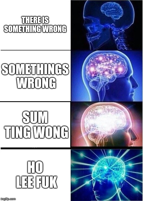 Expanding Brain | THERE IS SOMETHING WRONG; SOMETHINGS WRONG; SUM TING WONG; HO LEE FUK | image tagged in memes,expanding brain | made w/ Imgflip meme maker