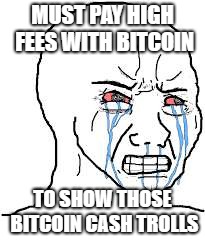 Wojak  | MUST PAY HIGH FEES WITH BITCOIN; TO SHOW THOSE BITCOIN CASH TROLLS | image tagged in wojak | made w/ Imgflip meme maker