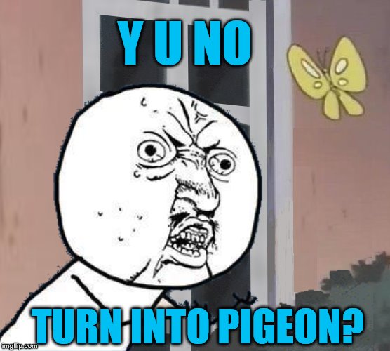 y u november | Y U NO; TURN INTO PIGEON? | image tagged in y u november | made w/ Imgflip meme maker