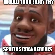 wanna sprite cranberry | WOULD THOU ENJOY THY; SPRITUS CRANBERRIUS | image tagged in wanna sprite cranberry | made w/ Imgflip meme maker