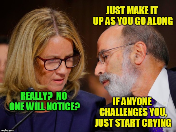 Character Assassination Made Easy | JUST MAKE IT UP AS YOU GO ALONG; REALLY?  NO ONE WILL NOTICE? IF ANYONE CHALLENGES YOU, JUST START CRYING | image tagged in christine blasey ford,brett kavanaugh,senate | made w/ Imgflip meme maker