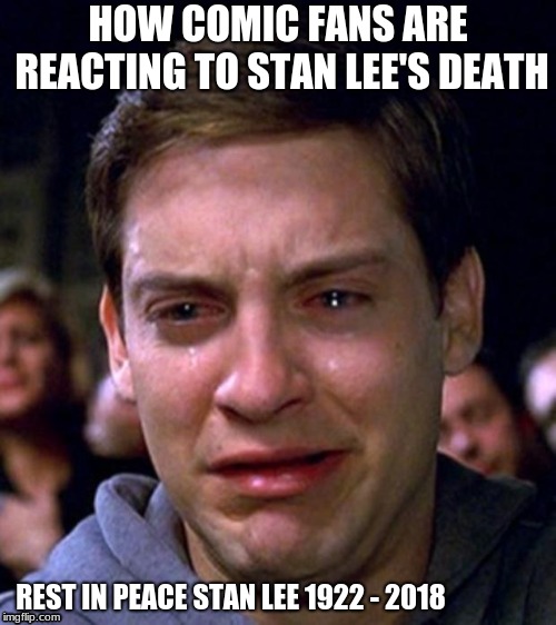 crying peter parker | HOW COMIC FANS ARE REACTING TO STAN LEE'S DEATH; REST IN PEACE STAN LEE 1922 - 2018 | image tagged in crying peter parker | made w/ Imgflip meme maker
