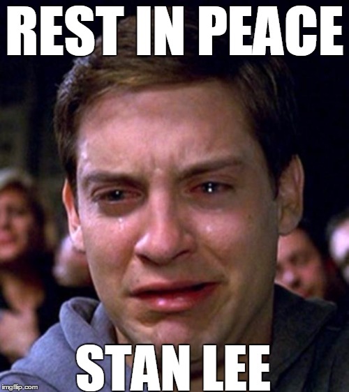 Rest In Peace Stan Lee | REST IN PEACE; STAN LEE | image tagged in crying peter parker,stan lee | made w/ Imgflip meme maker
