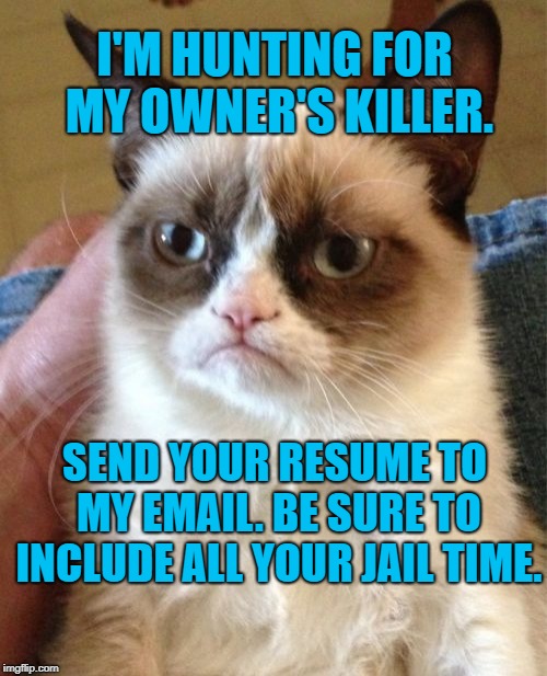 Please don't make me have to explain it. Keep up. Now Hiring.  | I'M HUNTING FOR MY OWNER'S KILLER. SEND YOUR RESUME TO MY EMAIL. BE SURE TO INCLUDE ALL YOUR JAIL TIME. | image tagged in memes,grumpy cat,hiring,apply within,pretty killer,deadly | made w/ Imgflip meme maker
