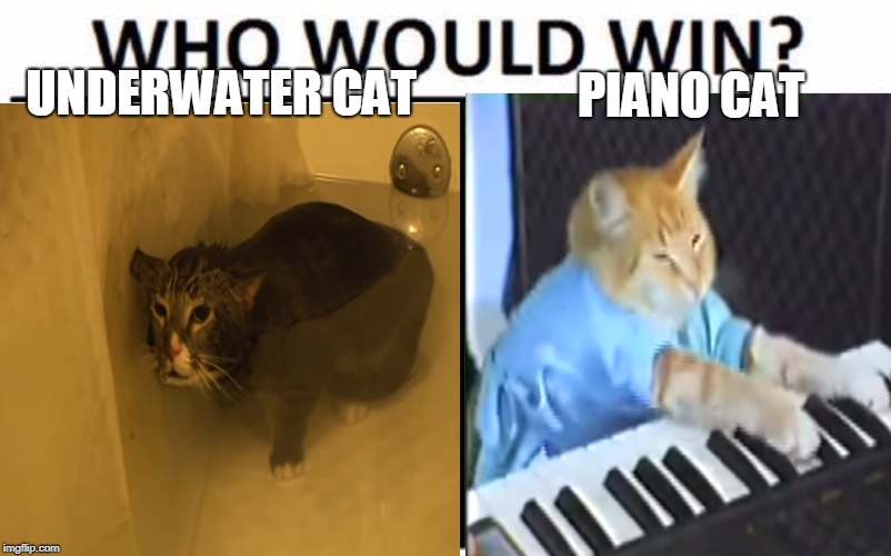 Which cat would win | UNDERWATER CAT; PIANO CAT | image tagged in cats,who would win | made w/ Imgflip meme maker
