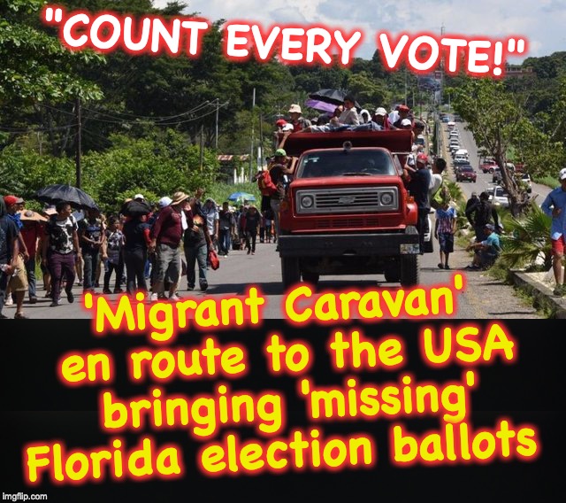 "COUNT EVERY VOTE!"; 'Migrant Caravan' en route to the USA bringing 'missing' Florida election ballots | image tagged in voter fraud,florida,caravan | made w/ Imgflip meme maker