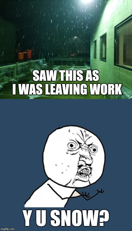 There's still green leaves on trees, FFS!!! (Y U NOvember) | SAW THIS AS I WAS LEAVING WORK; Y U SNOW? | image tagged in y u november,memes,snow | made w/ Imgflip meme maker
