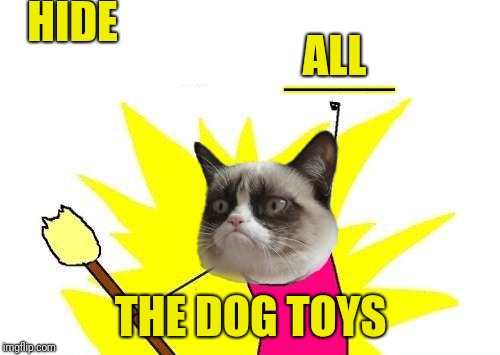 X All The Y Meme | HIDE THE DOG TOYS ALL ____ | image tagged in memes,x all the y | made w/ Imgflip meme maker