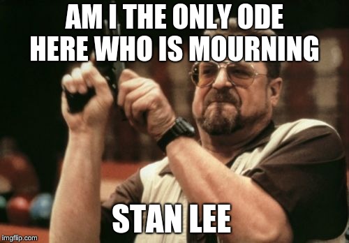 Am I The Only One Around Here | AM I THE ONLY ODE HERE WHO IS MOURNING; STAN LEE | image tagged in memes,am i the only one around here | made w/ Imgflip meme maker