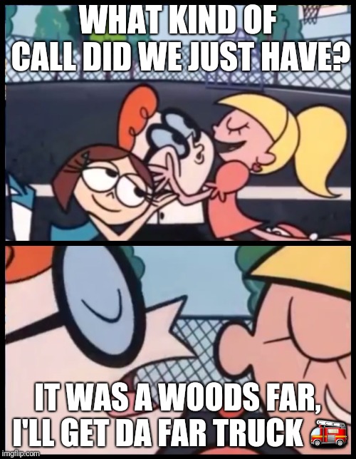 Say it Again, Dexter | WHAT KIND OF CALL DID WE JUST HAVE? IT WAS A WOODS FAR, I'LL GET DA FAR TRUCK 🚒 | image tagged in say it again dexter | made w/ Imgflip meme maker