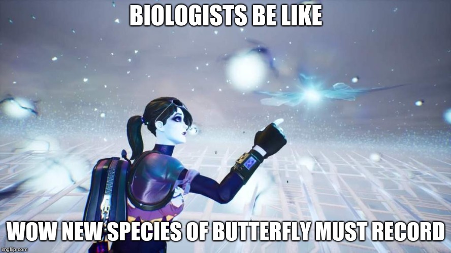 fortnite | BIOLOGISTS BE LIKE; WOW NEW SPECIES OF BUTTERFLY MUST RECORD | image tagged in fortnite | made w/ Imgflip meme maker