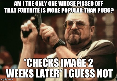 Am I The Only One Around Here Meme | AM I THE ONLY ONE WHOSE PISSED OFF THAT FORTNITE IS MORE POPULAR THAN PUBG? *CHECKS IMAGE 2 WEEKS LATER* I GUESS NOT | image tagged in memes,am i the only one around here | made w/ Imgflip meme maker