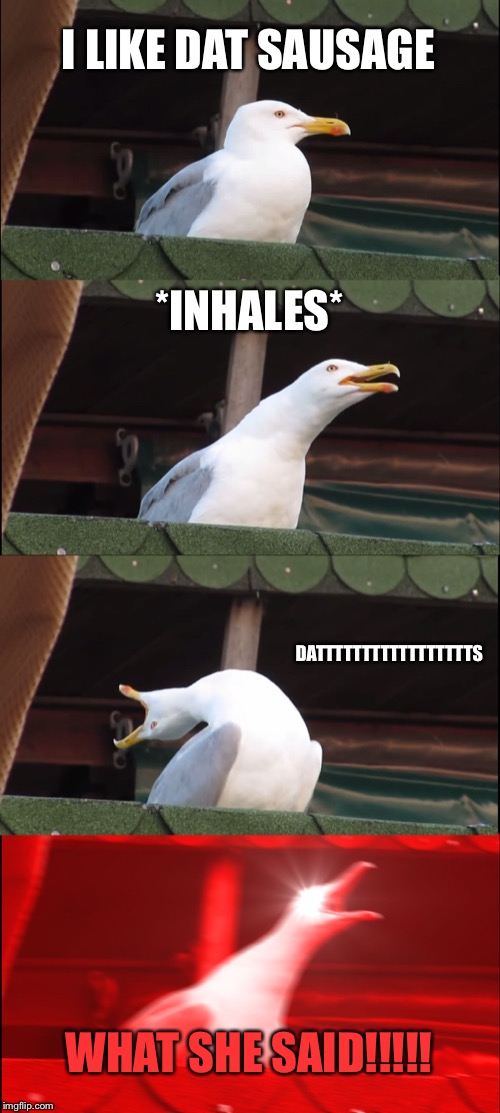 Inhaling Seagull | I LIKE DAT SAUSAGE; *INHALES*; DATTTTTTTTTTTTTTTTTS; WHAT SHE SAID!!!!! | image tagged in memes,inhaling seagull | made w/ Imgflip meme maker