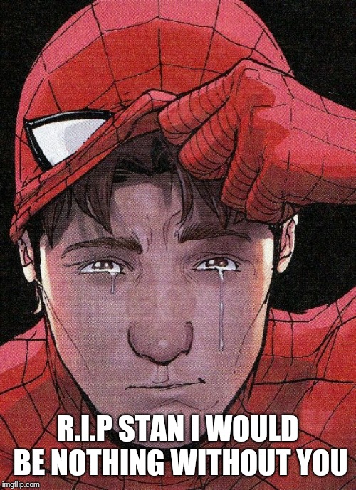 Crying spiderman  | R.I.P STAN I WOULD BE NOTHING WITHOUT YOU | image tagged in crying peter parker | made w/ Imgflip meme maker
