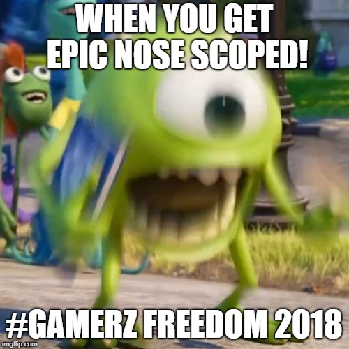 Mike wazowski | WHEN YOU GET EPIC NOSE SCOPED! #GAMERZ FREEDOM 2018 | image tagged in mike wazowski | made w/ Imgflip meme maker