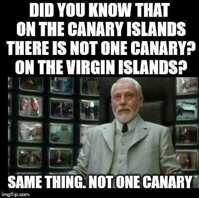 But there are men on the Isle Of Man. | DID YOU KNOW THAT ON THE CANARY ISLANDS THERE IS NOT ONE CANARY? ON THE VIRGIN ISLANDS? SAME THING. NOT ONE CANARY | image tagged in blank,matrix | made w/ Imgflip meme maker