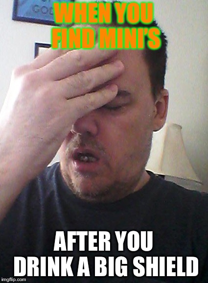face palm | WHEN YOU FIND MINI’S; AFTER YOU DRINK A BIG SHIELD | image tagged in face palm | made w/ Imgflip meme maker