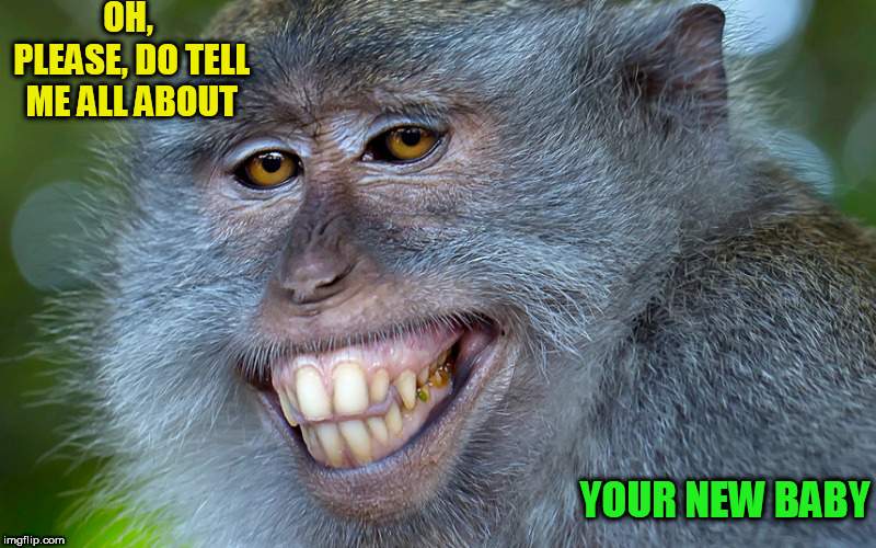 15+ of the Best Memes That Just Monkey Around - Animal Comedy