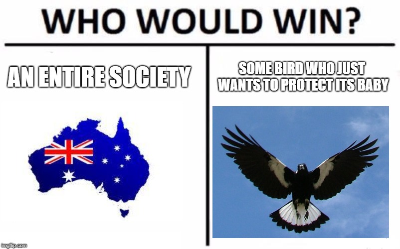 who would win | AN ENTIRE SOCIETY; SOME BIRD WHO JUST WANTS TO PROTECT ITS BABY | image tagged in memes,who would win,magpie | made w/ Imgflip meme maker