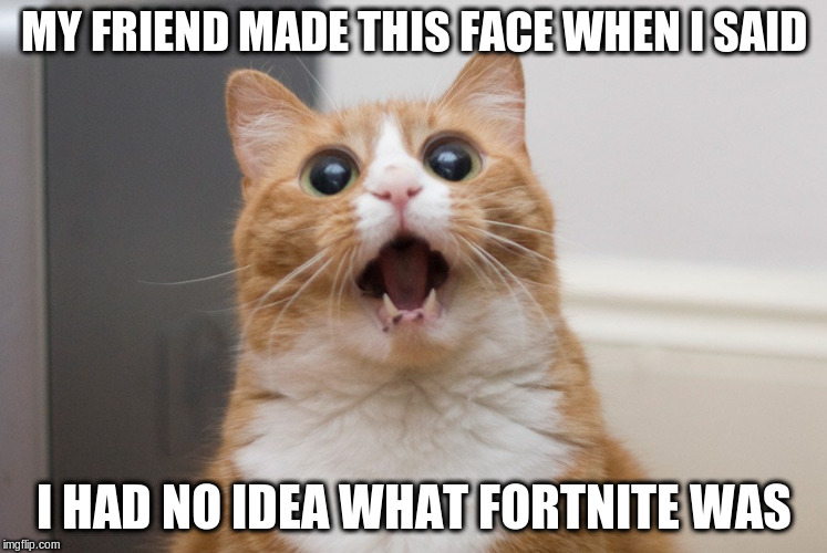 (Now I do(I guess...(not sure))) | MY FRIEND MADE THIS FACE WHEN I SAID; I HAD NO IDEA WHAT FORTNITE WAS | image tagged in amazed cat | made w/ Imgflip meme maker