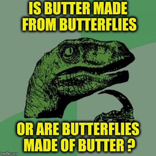 Philosoraptor Meme | IS BUTTER MADE FROM BUTTERFLIES OR ARE BUTTERFLIES MADE OF BUTTER ? | image tagged in memes,philosoraptor | made w/ Imgflip meme maker