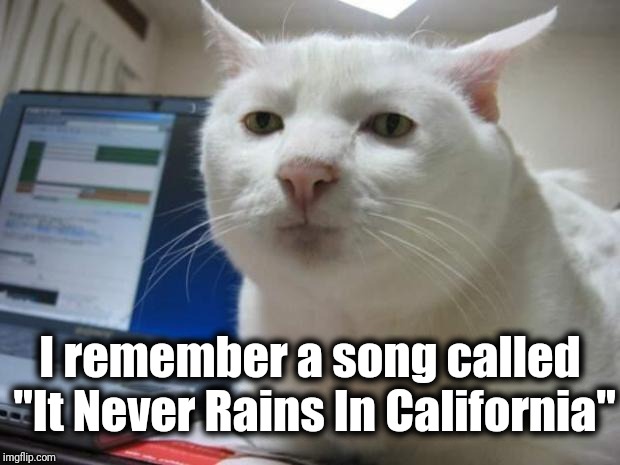 serious cat | I remember a song called "It Never Rains In California" | image tagged in serious cat | made w/ Imgflip meme maker