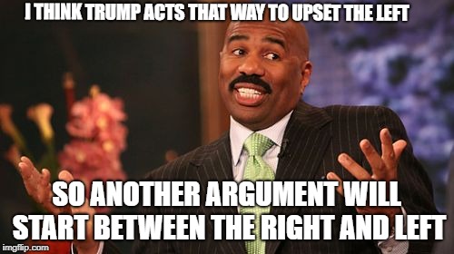 Steve Harvey Meme | I THINK TRUMP ACTS THAT WAY TO UPSET THE LEFT SO ANOTHER ARGUMENT WILL START BETWEEN THE RIGHT AND LEFT | image tagged in memes,steve harvey | made w/ Imgflip meme maker
