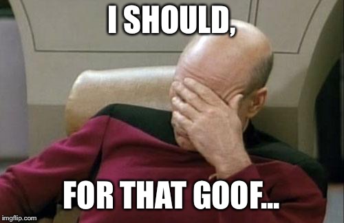 Captain Picard Facepalm Meme | I SHOULD, FOR THAT GOOF... | image tagged in memes,captain picard facepalm | made w/ Imgflip meme maker