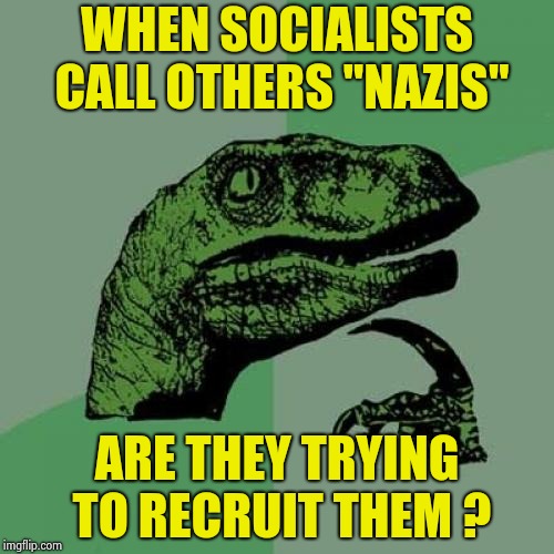 Philosoraptor Meme | WHEN SOCIALISTS CALL OTHERS "NAZIS" ARE THEY TRYING TO RECRUIT THEM ? | image tagged in memes,philosoraptor | made w/ Imgflip meme maker