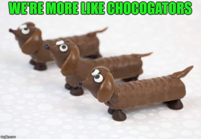 WE'RE MORE LIKE CHOCOGATORS | made w/ Imgflip meme maker