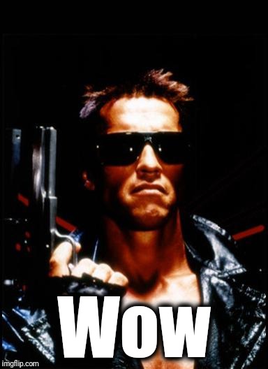 terminator arnold schwarzenegger | Wow | image tagged in terminator arnold schwarzenegger | made w/ Imgflip meme maker