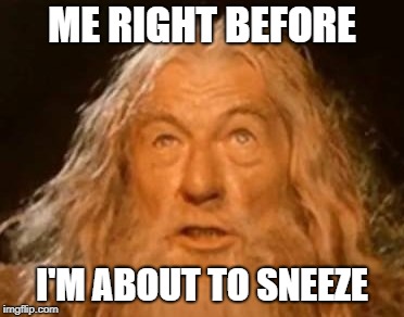 Gandalf about to sneeze | ME RIGHT BEFORE; I'M ABOUT TO SNEEZE | image tagged in gandalf you shall not pass,you shall not pass,you shall not pass gandalf,gandalf | made w/ Imgflip meme maker