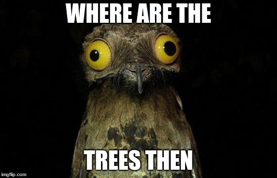 Weird Stuff I Do Potoo Meme | WHERE ARE THE; TREES THEN | image tagged in memes,weird stuff i do potoo | made w/ Imgflip meme maker