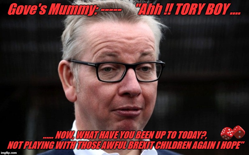 TORY BOY GOVE | Gove's Mummy: -----     "Ahh !! TORY BOY .... ...... NOW, WHAT HAVE YOU BEEN UP TO TODAY?, NOT PLAYING WITH THOSE AWFUL BREXIT CHILDREN AGAIN I HOPE" | image tagged in tory boy gove | made w/ Imgflip meme maker