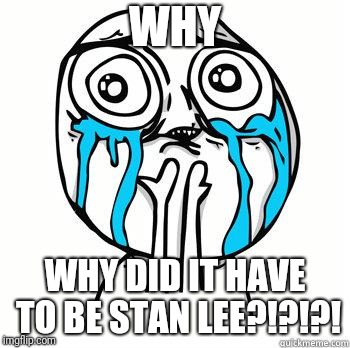 Crying Face | WHY WHY DID IT HAVE TO BE STAN LEE?!?!?! | image tagged in crying face | made w/ Imgflip meme maker