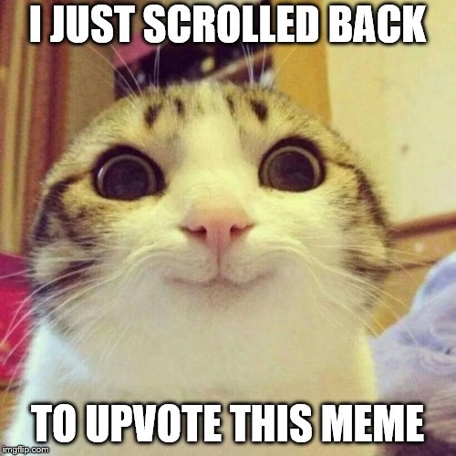 Smiling Cat Meme | I JUST SCROLLED BACK TO UPVOTE THIS MEME | image tagged in memes,smiling cat | made w/ Imgflip meme maker
